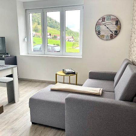 Apartmán Cocon Lumineux Pres Des Pistes La Bresse Exteriér fotografie