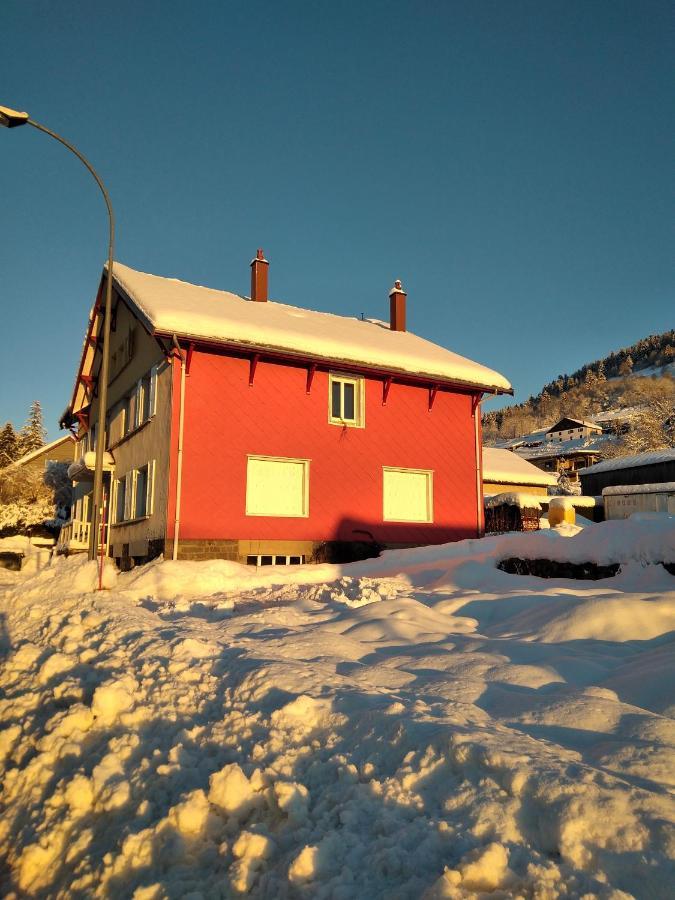 Apartmán Cocon Lumineux Pres Des Pistes La Bresse Exteriér fotografie